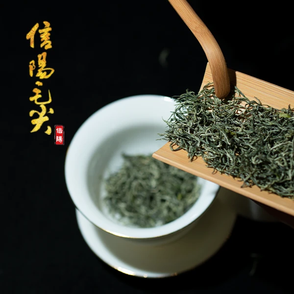 信阳毛尖高山茶80g 罐装