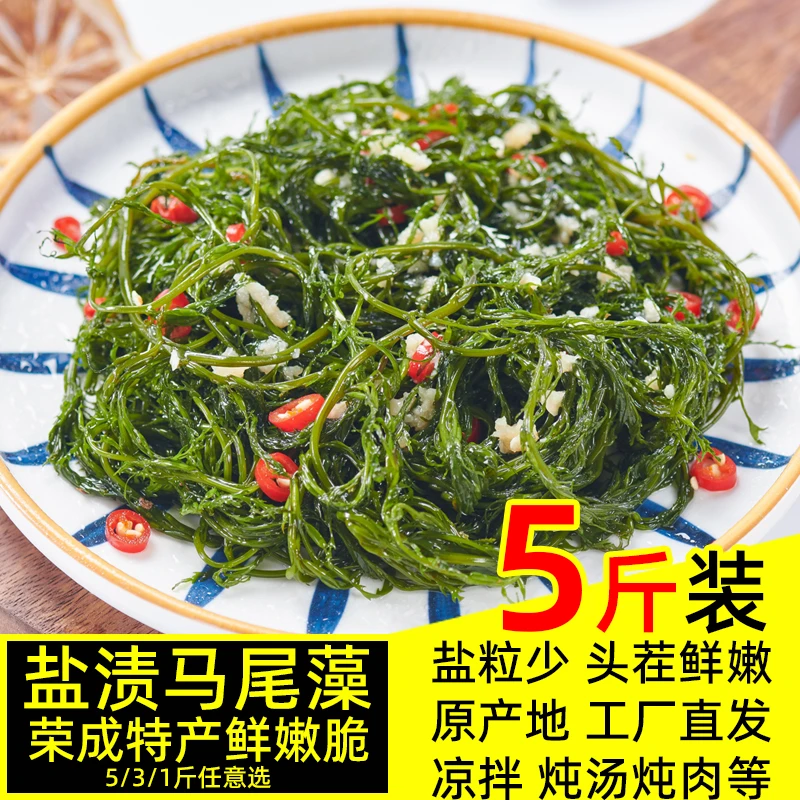 盐渍马尾藻5斤新鲜鞭炮笋整箱批发长寿菜涮火锅食材海藻凉拌海带1