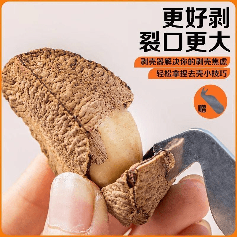 沙漠鲍鱼果盐焗坚果干果正宗特产孕妇包鱼果大果巴西栗子新货笋0g