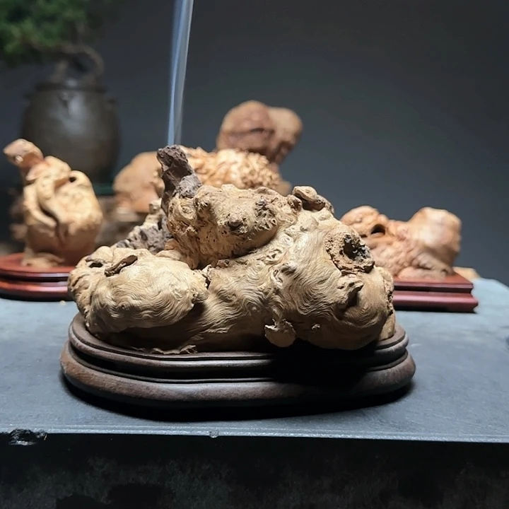 荔枝木荔枝树香炉4578992