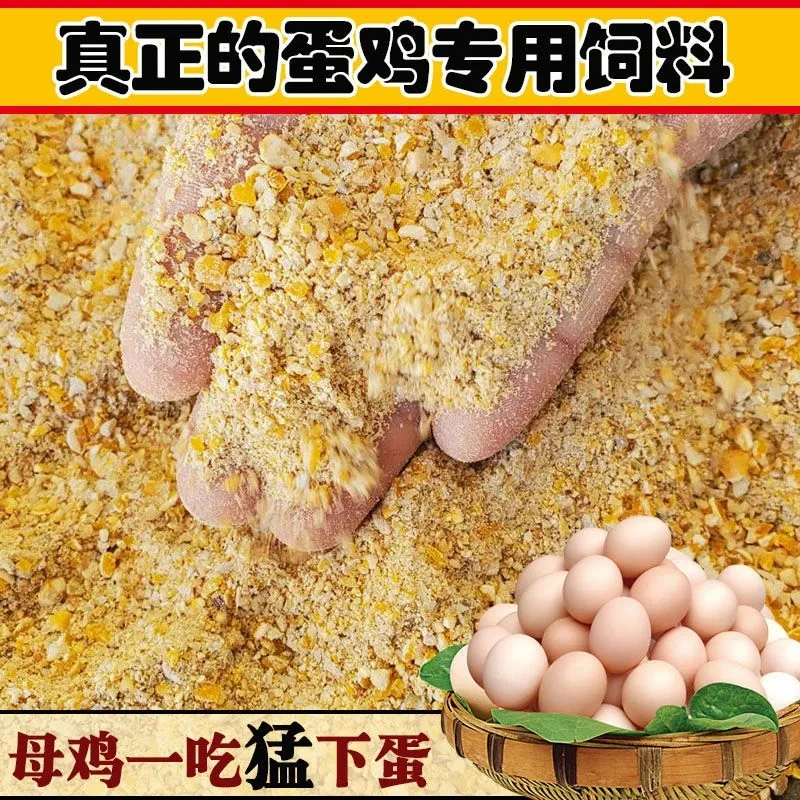 产蛋鸡饲料全价料下蛋鸡鹌鹑专用鸡食玉米碎粒中大鸡散装饲料