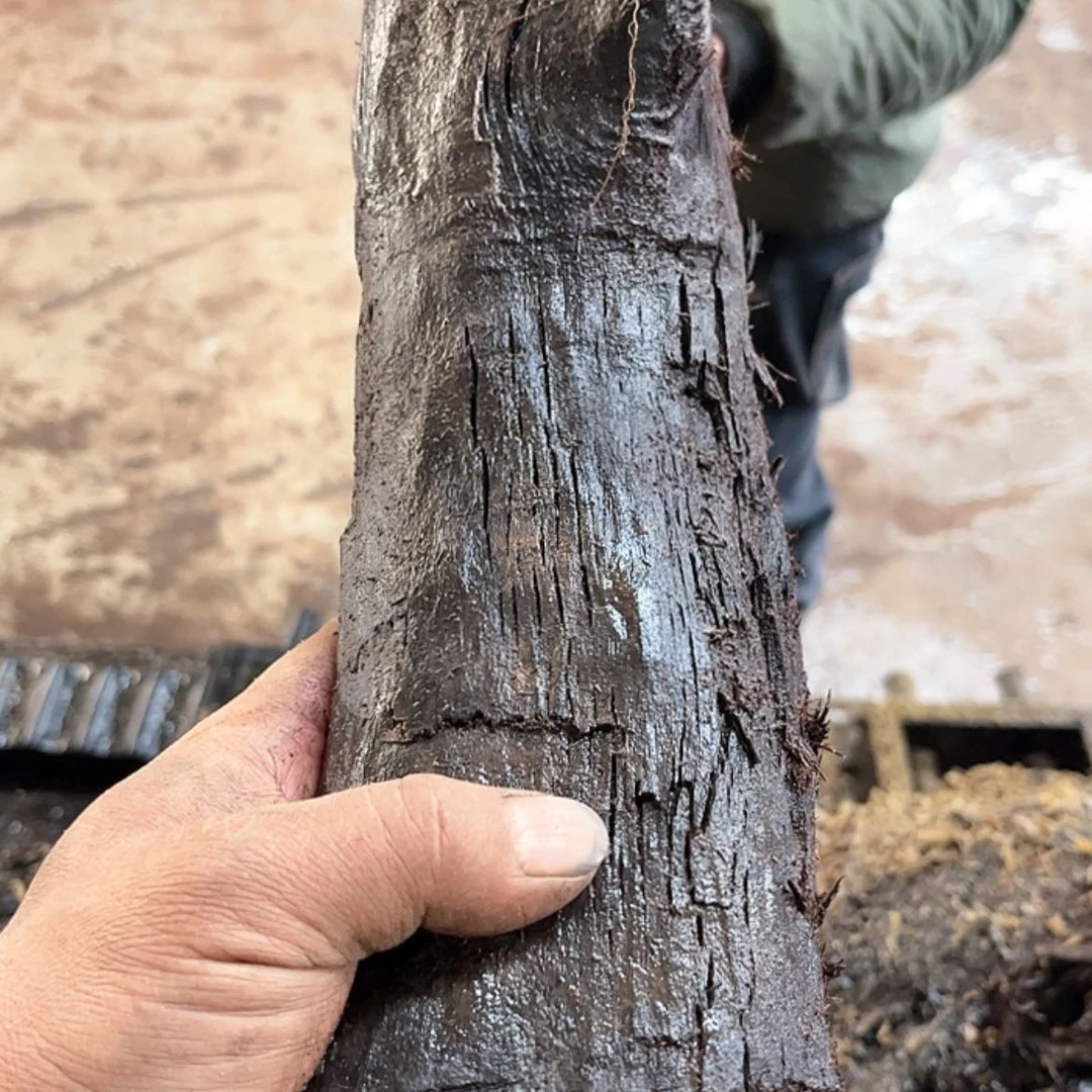 【闪购商品】骨瓷摆件诗***易