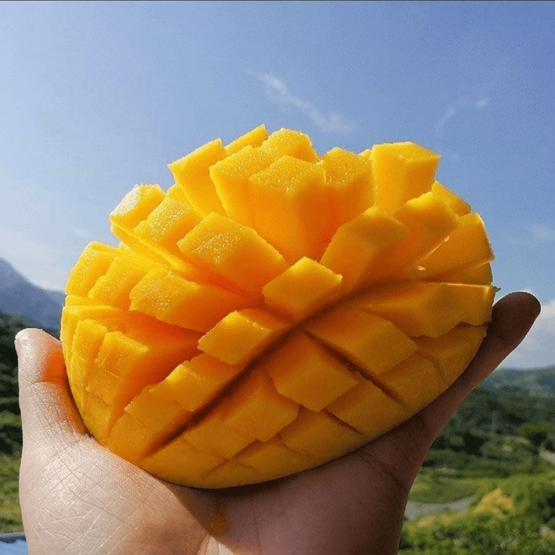【青黄果随机发】凯特芒带箱3斤单果250g起无丝肉厚云南仓发