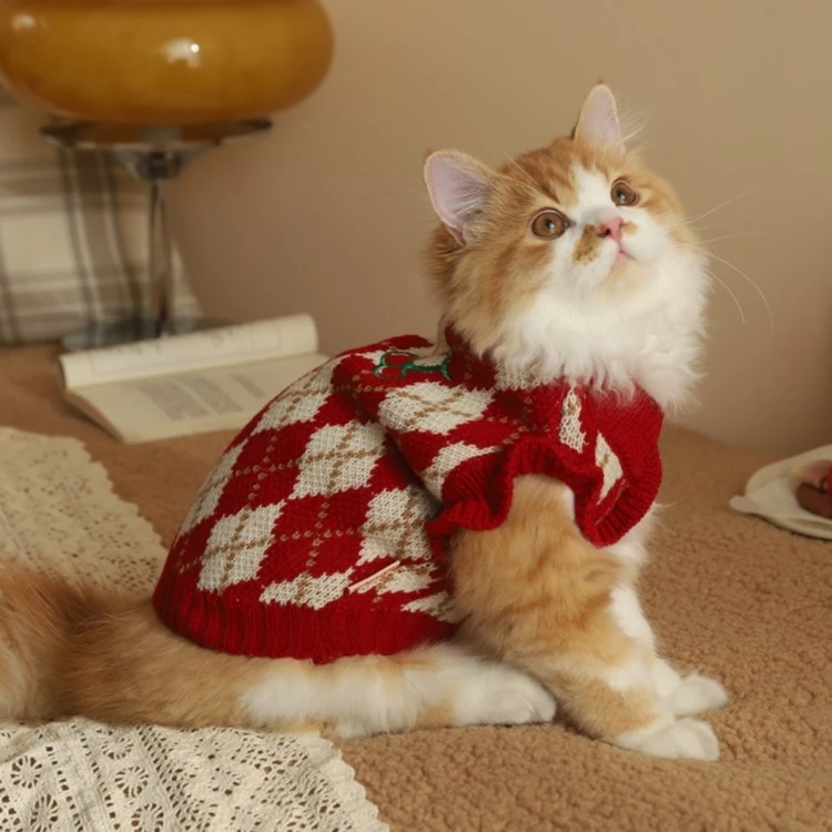 小猫衣服猫咪衣服毛衣小奶猫防掉毛泰迪秋冬装宠物猫英短蓝猫用品