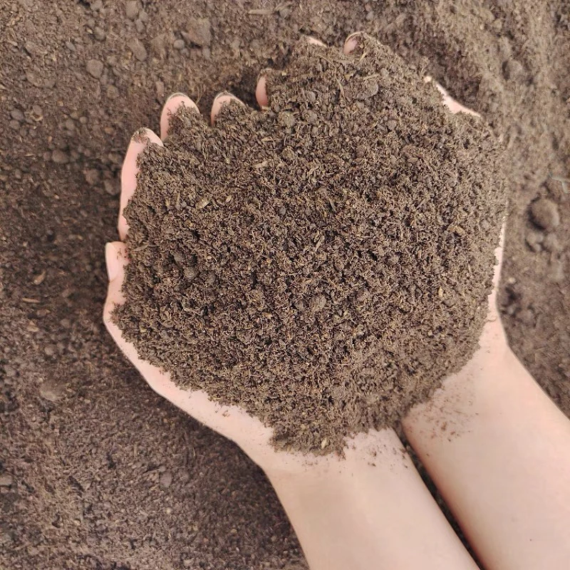 云南大山腐殖土买1公斤送1公斤（种菜种花多肉都好用）