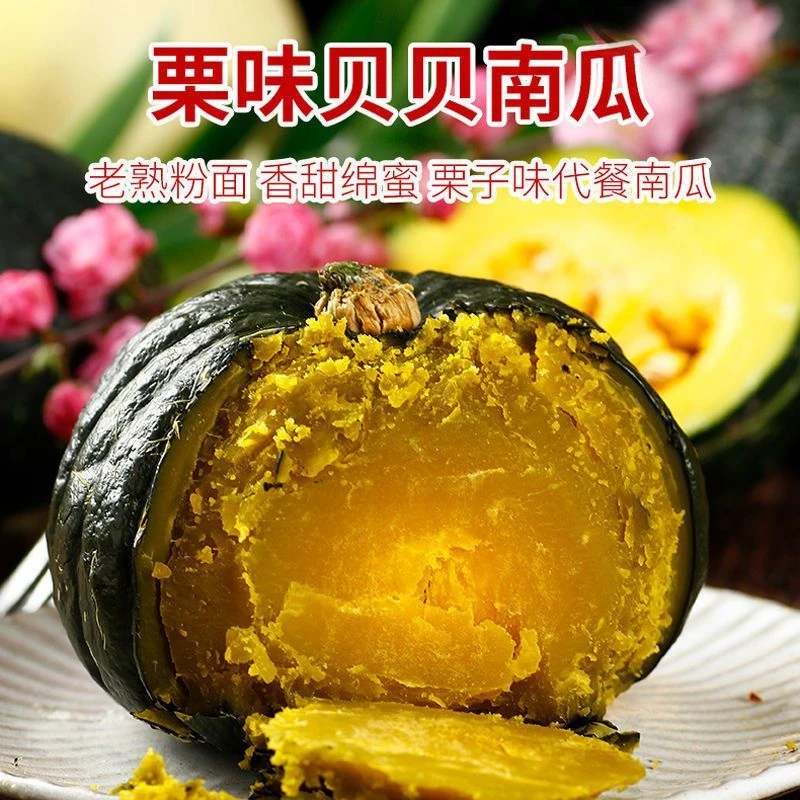 正宗真贝贝南瓜板栗味南瓜老人婴儿辅食粉糯香甜小南瓜整箱新鲜