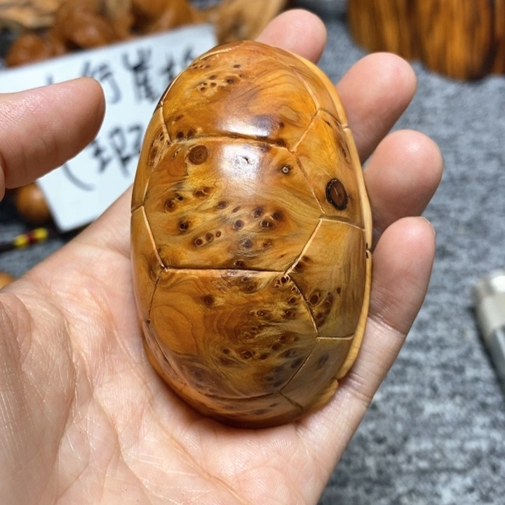 柏木（崖柏）崖柏69