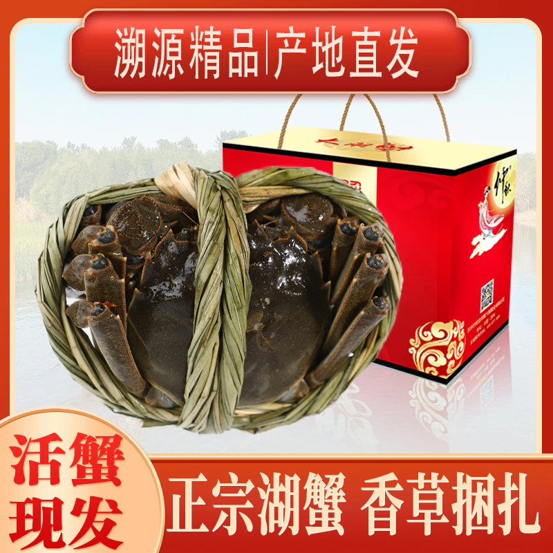 【溱湖簖蟹】公蟹7.0两母蟹5.5两精品大闸蟹鲜活螃蟹现发礼盒装4只