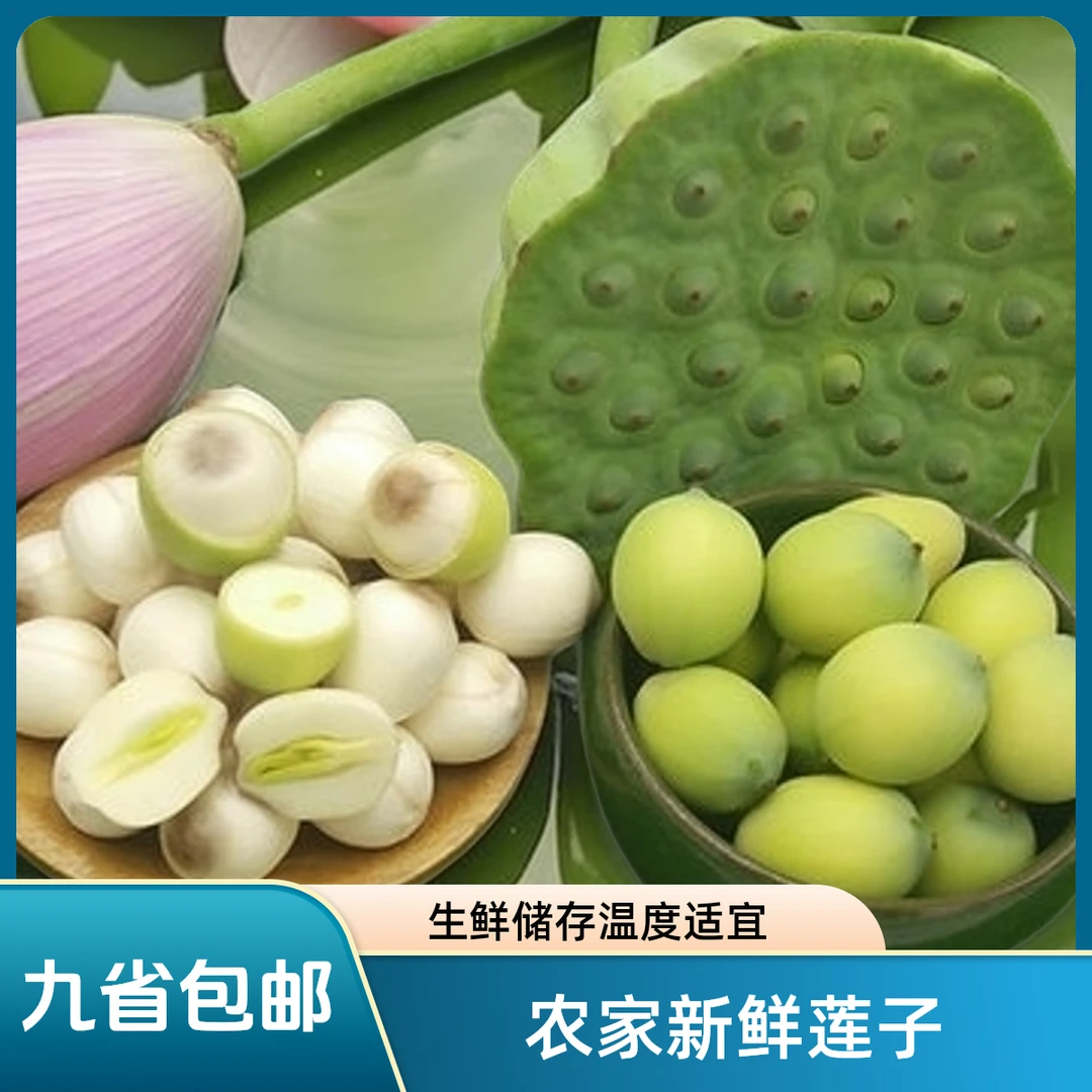 农家新鲜莲子(九省包邮:江西江苏广东福建上海安徽湖南湖北浙江