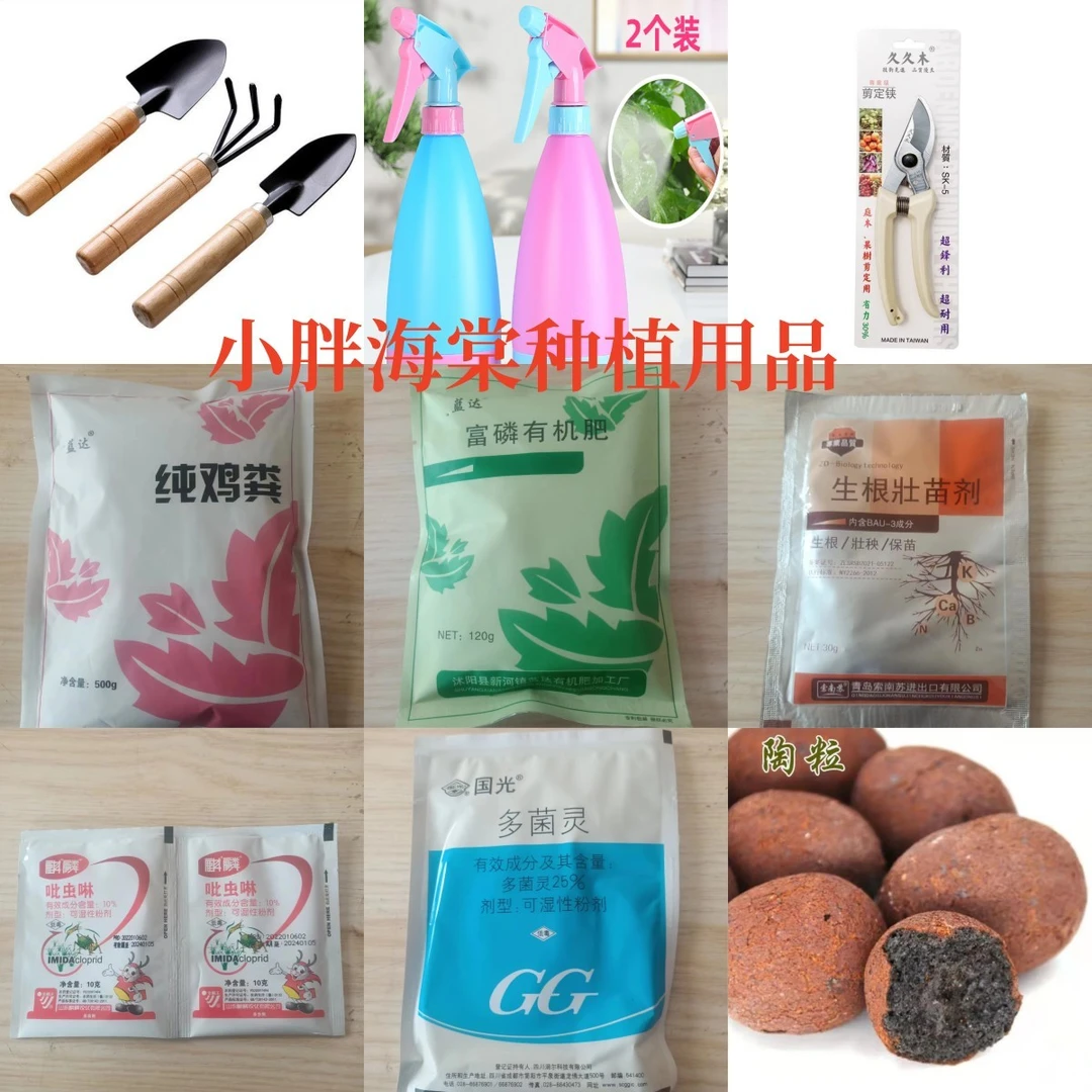 小胖海棠园艺工具 复合肥 喷壶  花剪刀 鸡屎肥等