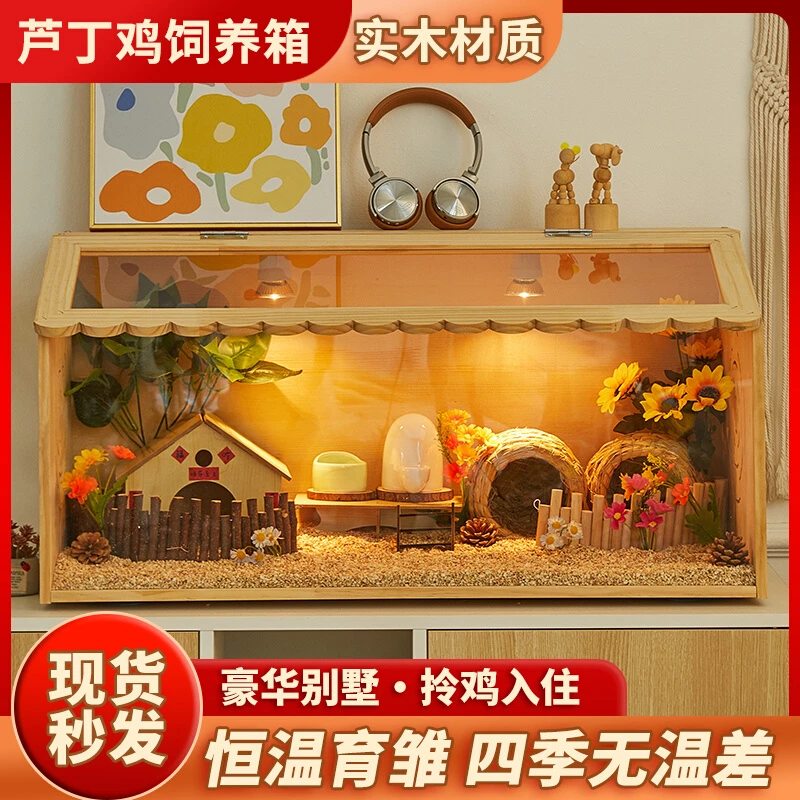 芦丁鸡饲养箱全套宠物饲养笼鸡窝卢丁鸡的房子养殖保温箱木箱笼子