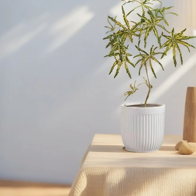 北欧高颜值条纹简约轻奢手工高温陶瓷落地大花盆幸福树种植盆栽