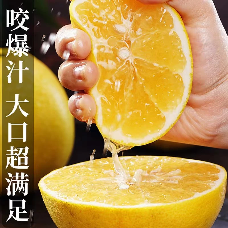 【果园直发】福建黄金葡萄柚子当季新鲜水果现采现发应季水果YJ