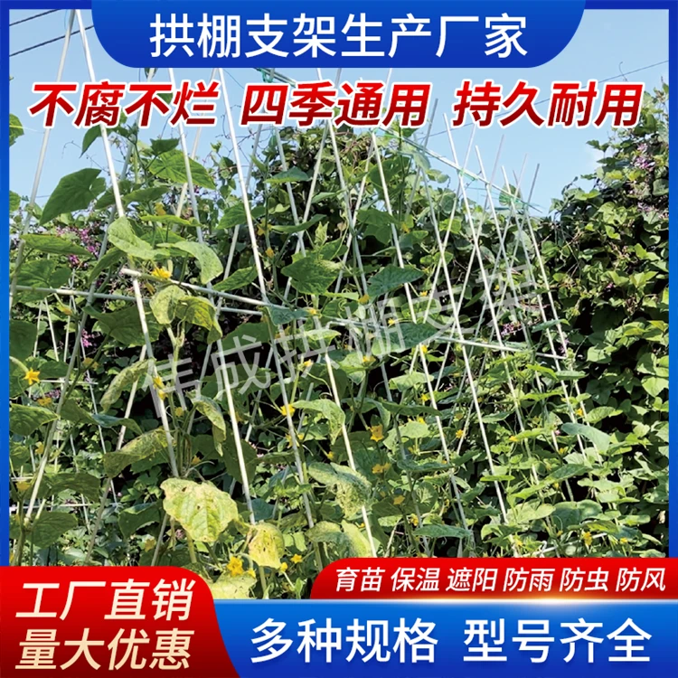 蔬菜爬藤架杆遮阳网防虫鸟网杆育苗棚保温棚杆花架杆拱棚支架杆