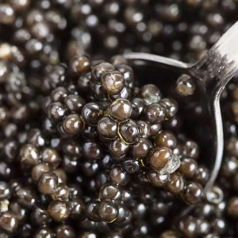 特惠生鲟鳇鱼籽酱鲟鱼籽鲟鱼黑鱼子酱新鲜即食海鲜料理鲟鱼鱼籽酱