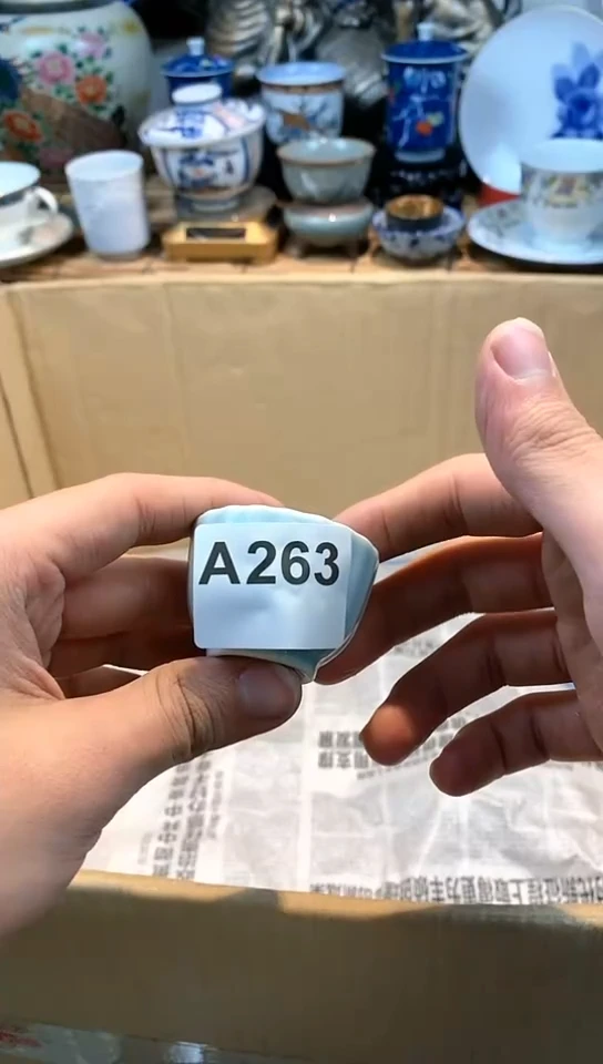【闪购商品】ci263