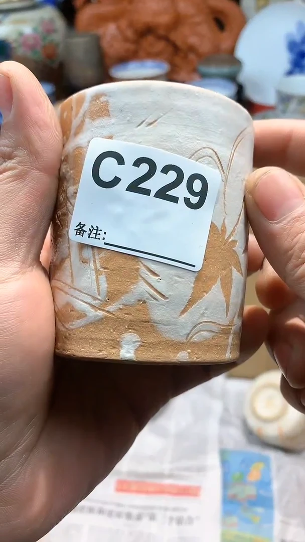 【闪购商品】1c229