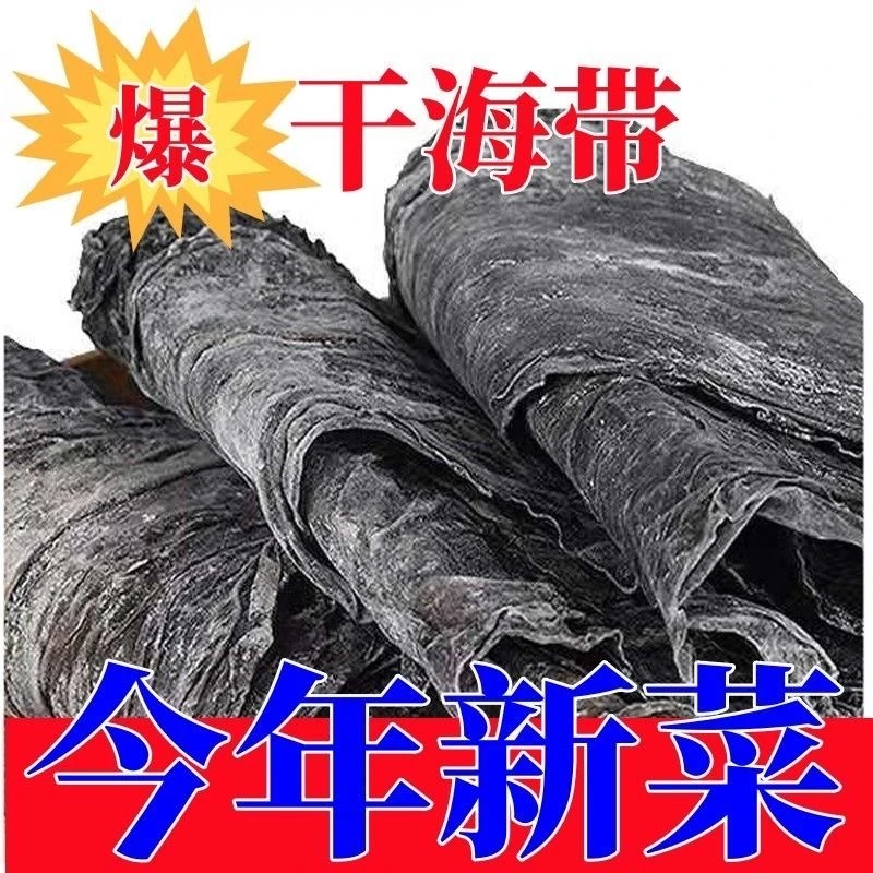 新货海带卷干货优质日晒无沙厚海带福建霞浦渔家自产自销海带干货