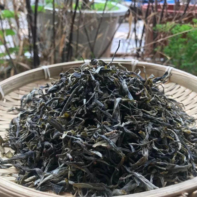 【永德笼楂2021年大树秋茶】云南大叶种晒青绿茶200克