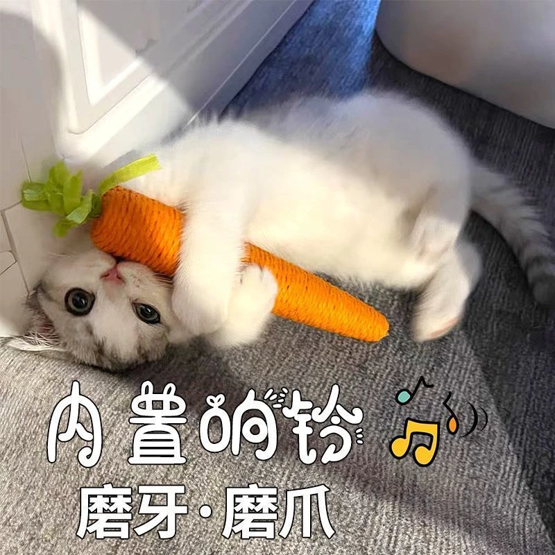 【新疆包邮】猫咪玩具发声胡萝卜逗猫棒自嗨解闷幼猫磨牙棒耐咬猫
