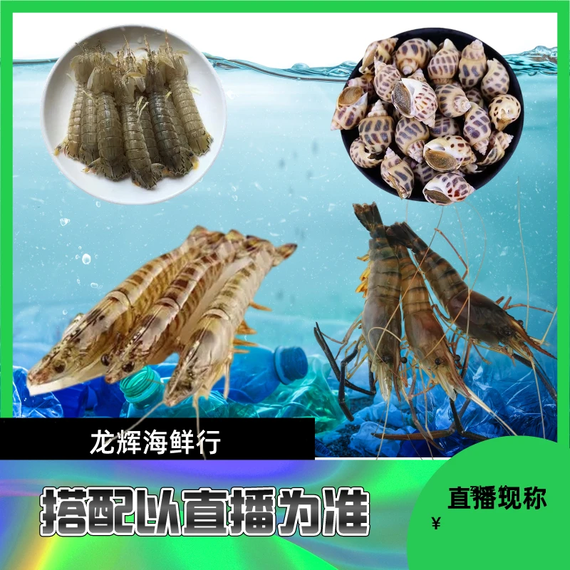 龙辉（直播现称22）现称海鲜4 多拼