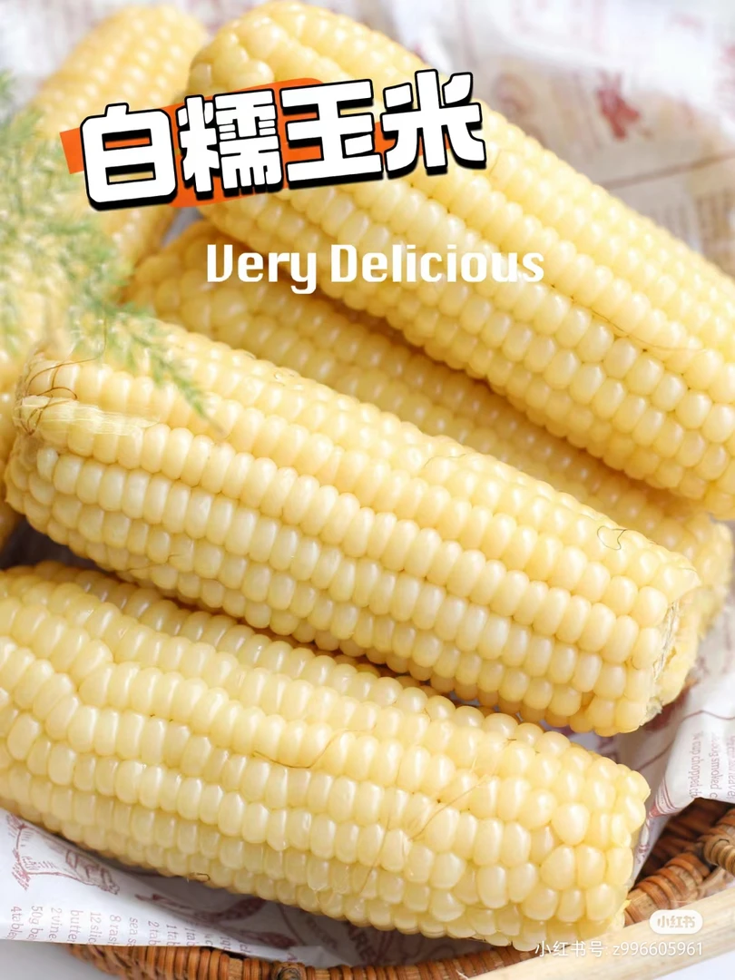 【玉米】绿色认证本地中糯2号玉米露天自然熟非转基因当天现摘现发