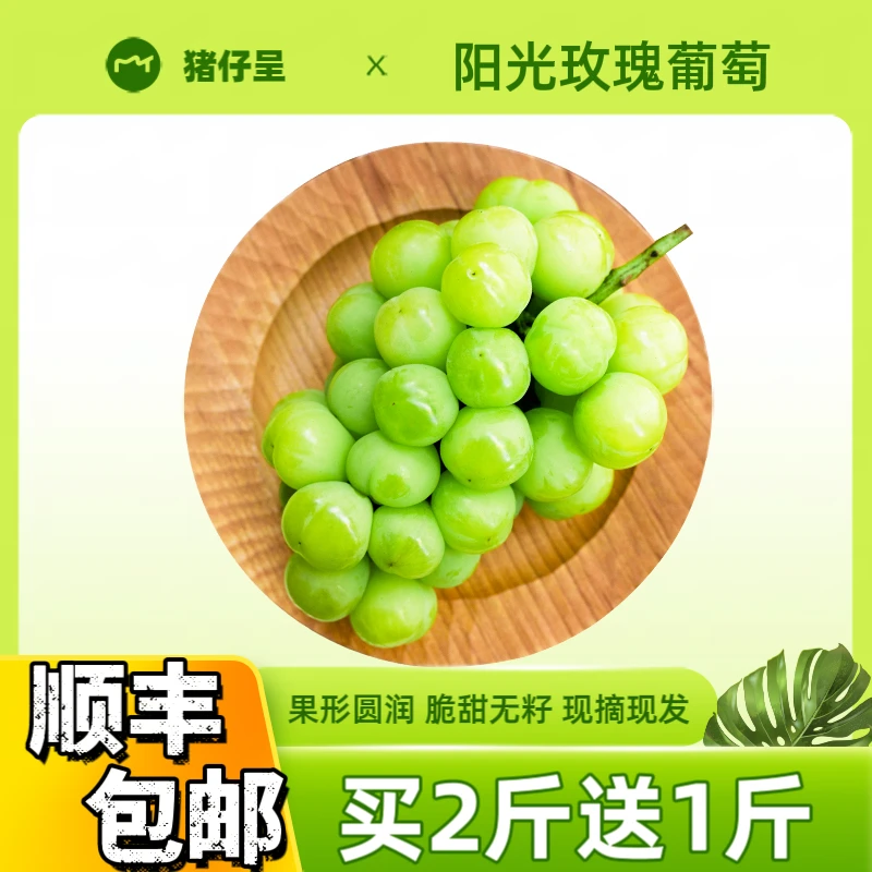 【送一斤】顺丰正宗阳光玫瑰葡萄新鲜水果DS1高原晴王青提青提