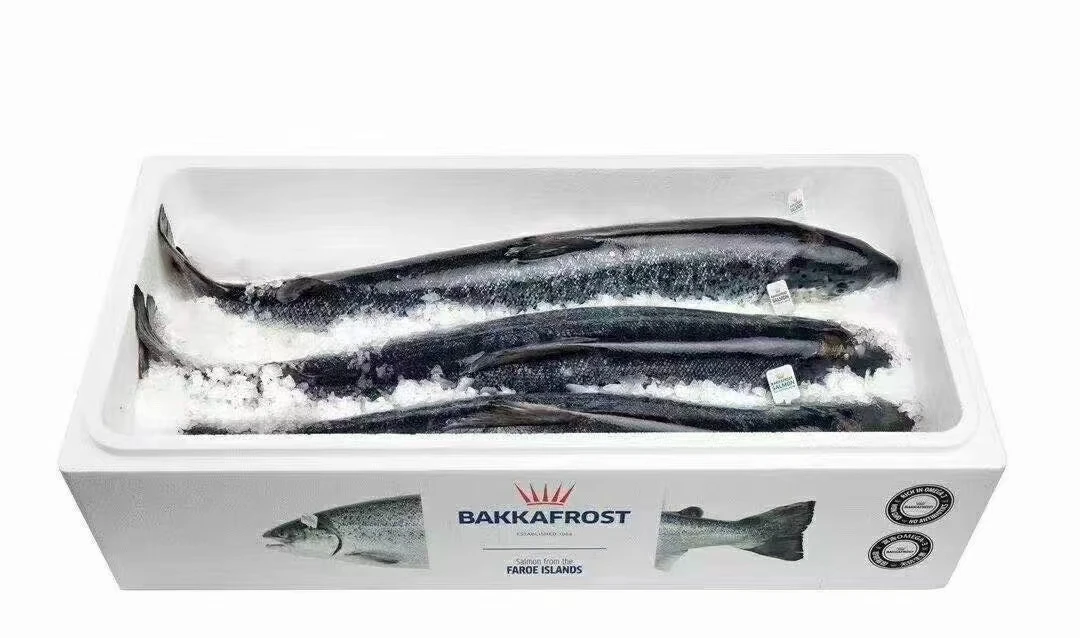 正宗法罗皇冠冰鲜三文鱼