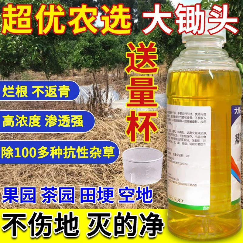 超优农选大锄头精草铵膦铵盐牛筋草水花生果园园荒地除草剂烂根
