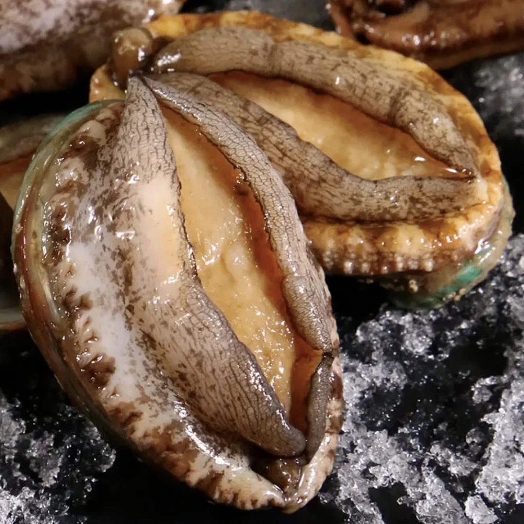 东山岛4-5头超大鲍鱼9-10cm鲜活速冻顺丰冷链包邮
