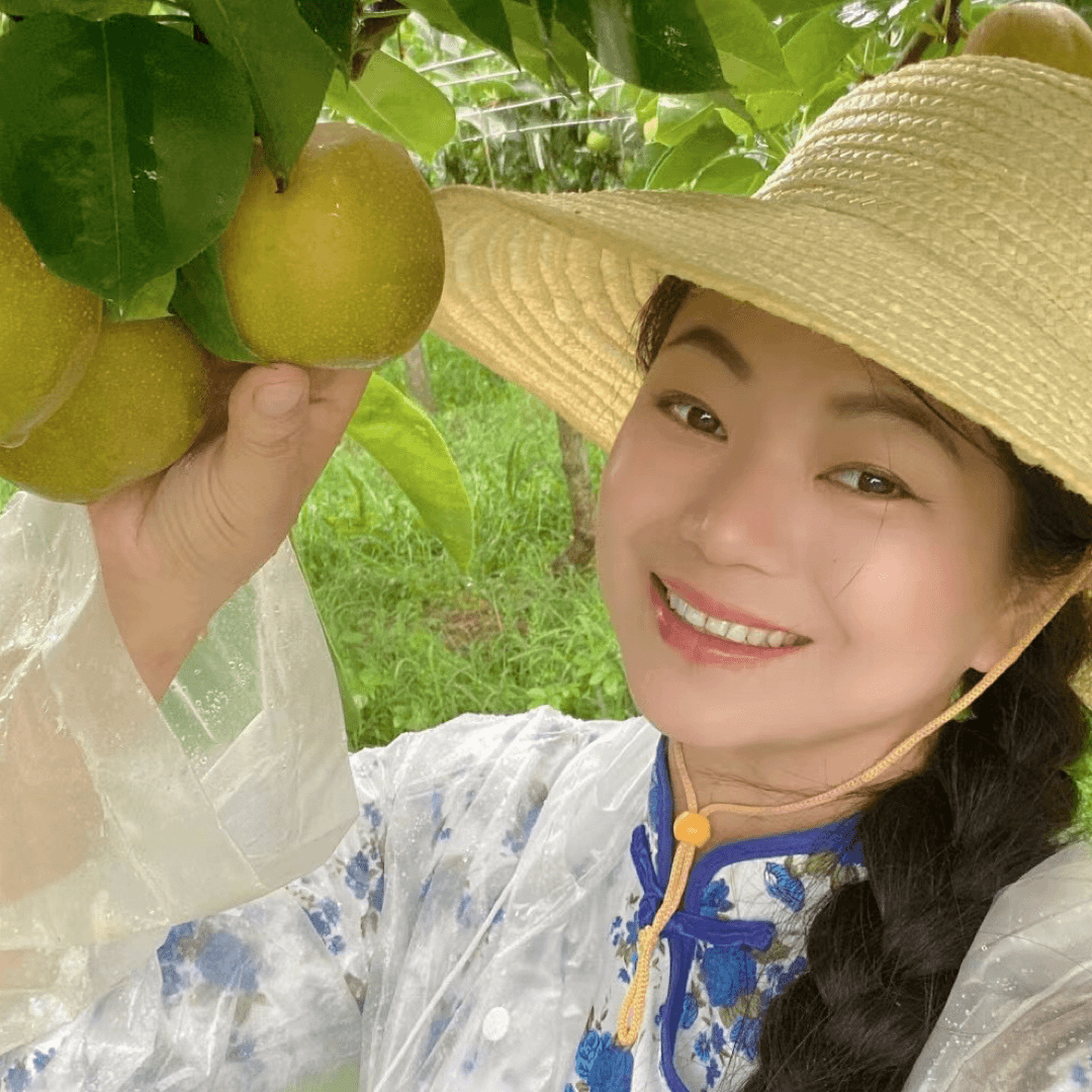 钟祥柴胡棚架脆冠梨5斤顺丰爽脆多汁