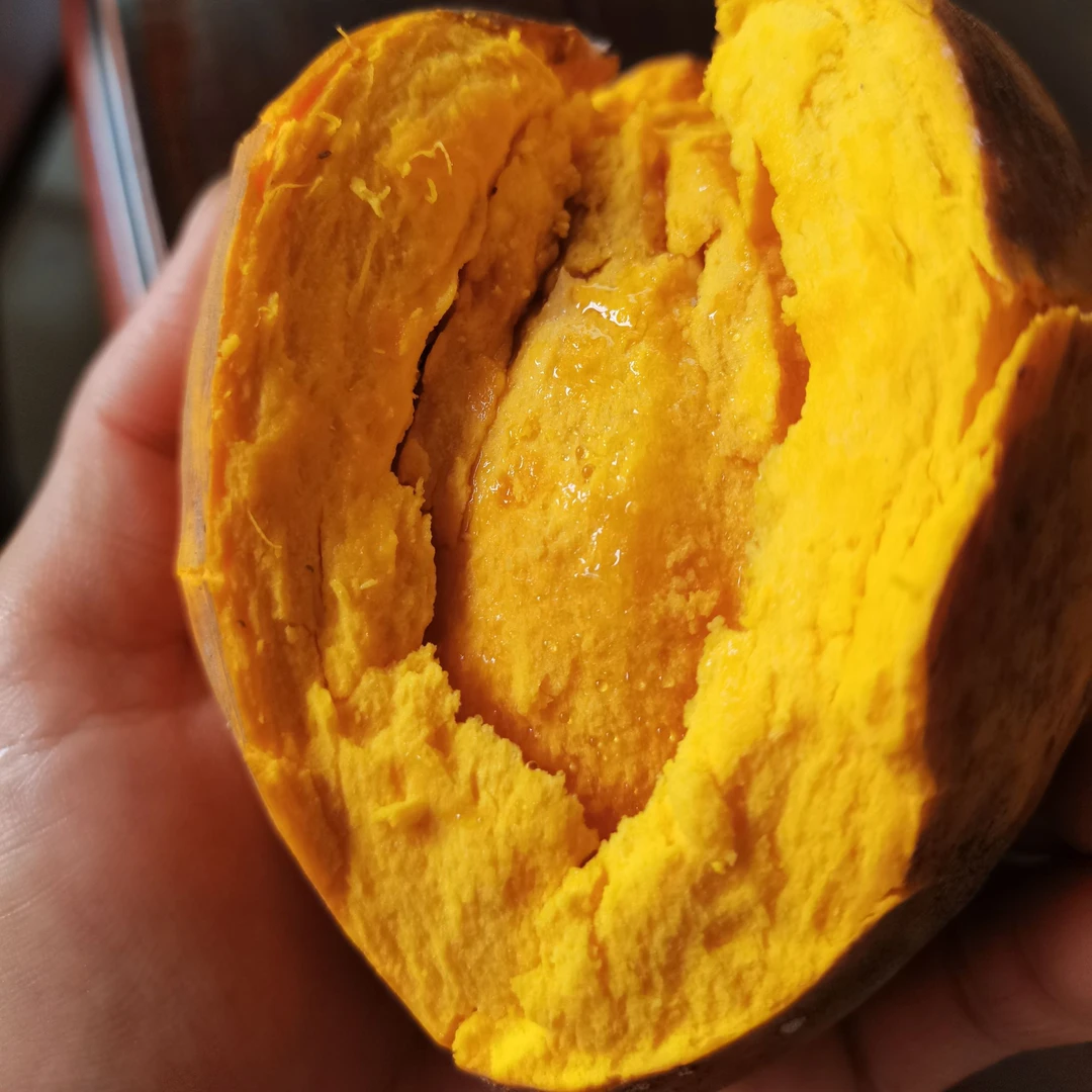 罗斯果嫁接苗小苗香果榴莲味网红新品种庭院种植阳台种植花园植物