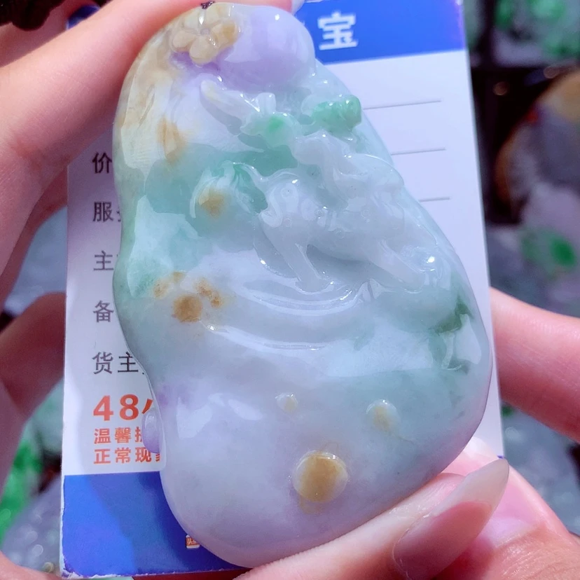 【闪购商品】翡翠颈饰未镶嵌高*郭挂件