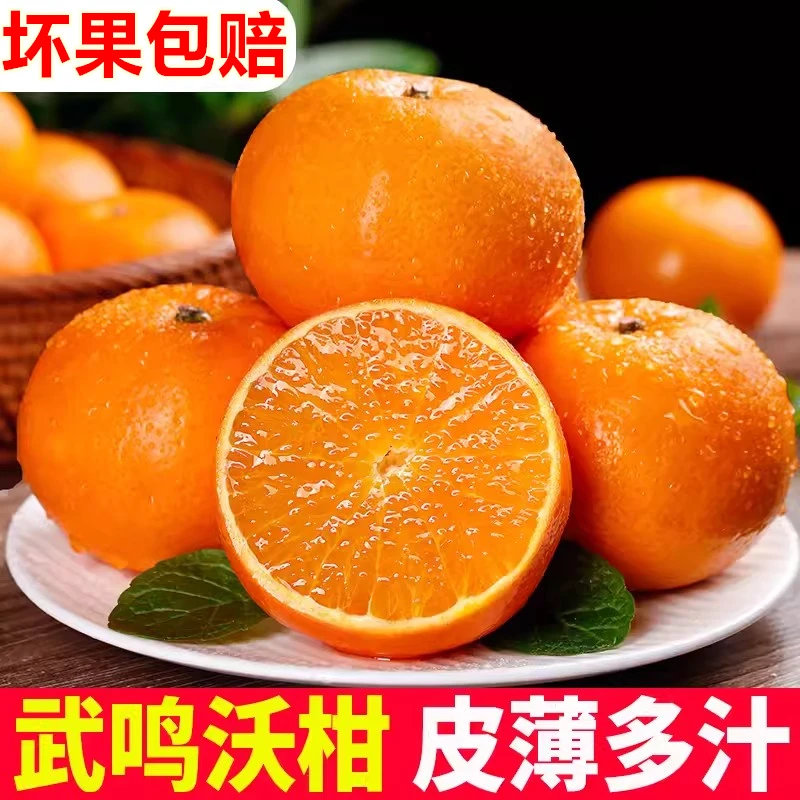 现摘广西武鸣沃柑9-10斤装皮薄多汁新鲜柑橘坏果包赔