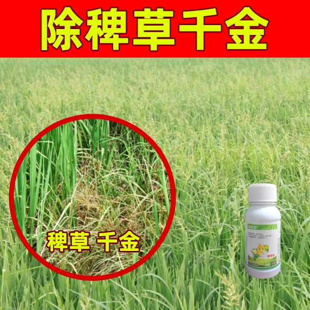 农飞客除稗草千金等禾本科 水稻苗后滁草专打抗性 水稻专用水溶肥
