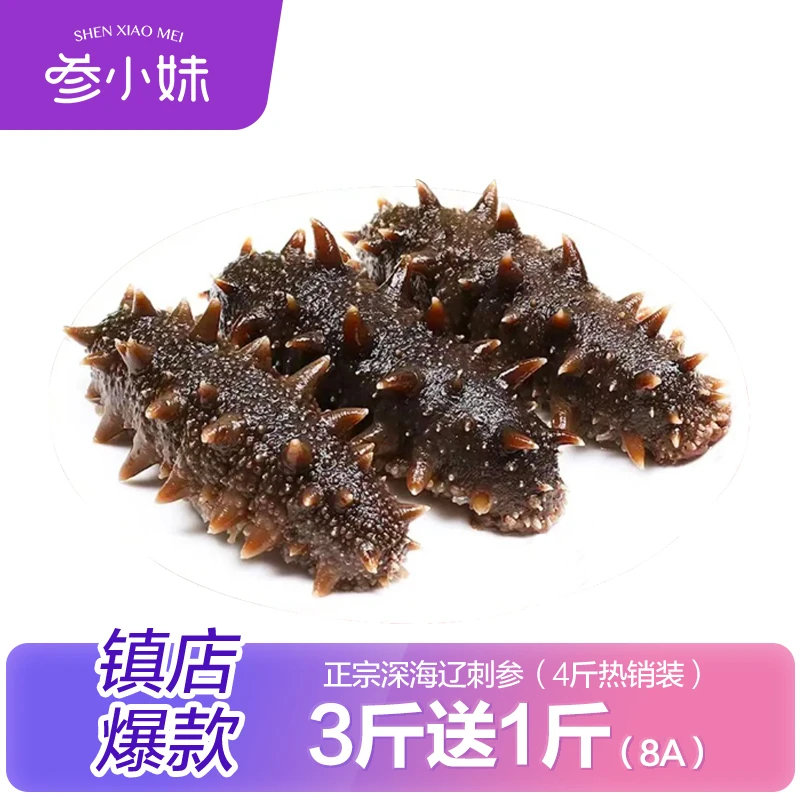 【AD专用】鲜食海参买3送1热销装参小妹辽刺参好吃营养到手四斤