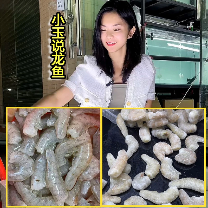 观赏鱼龙鱼活体鱼的饲料虾仁泥鳅龙虎魟鱼冻虾河虾投喂