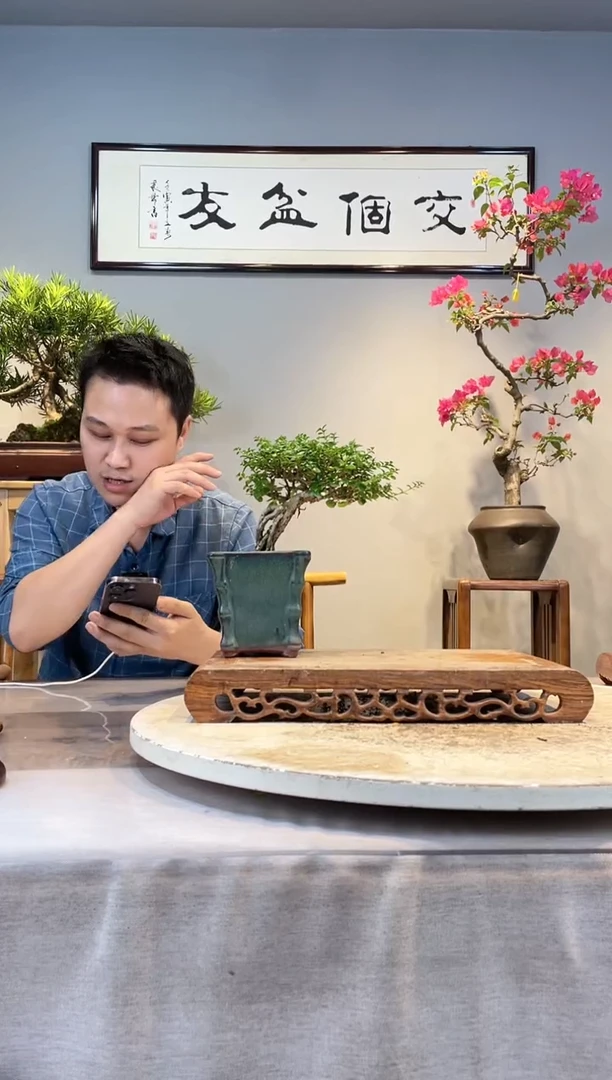 【闪购商品】盆景寿娘子