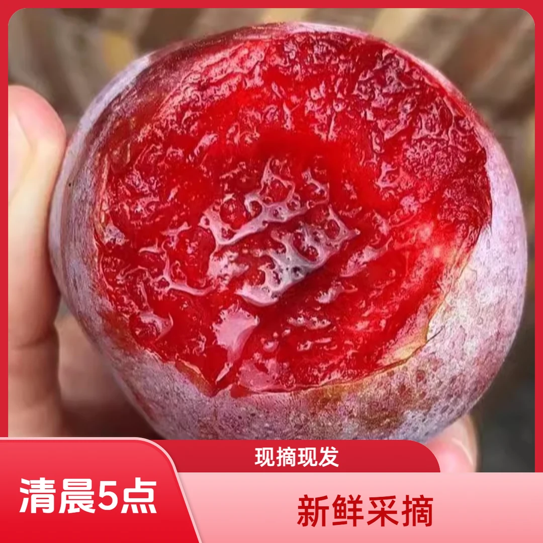 福建红心李子胭脂李脆李芙蓉李新鲜孕妇水果酸甜脆果现摘现发鲜嫩