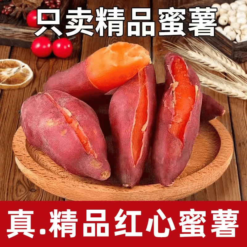 正宗现挖沙地生鲜农家美味红薯软糯香甜蜜番薯板栗糯米薯产地直销