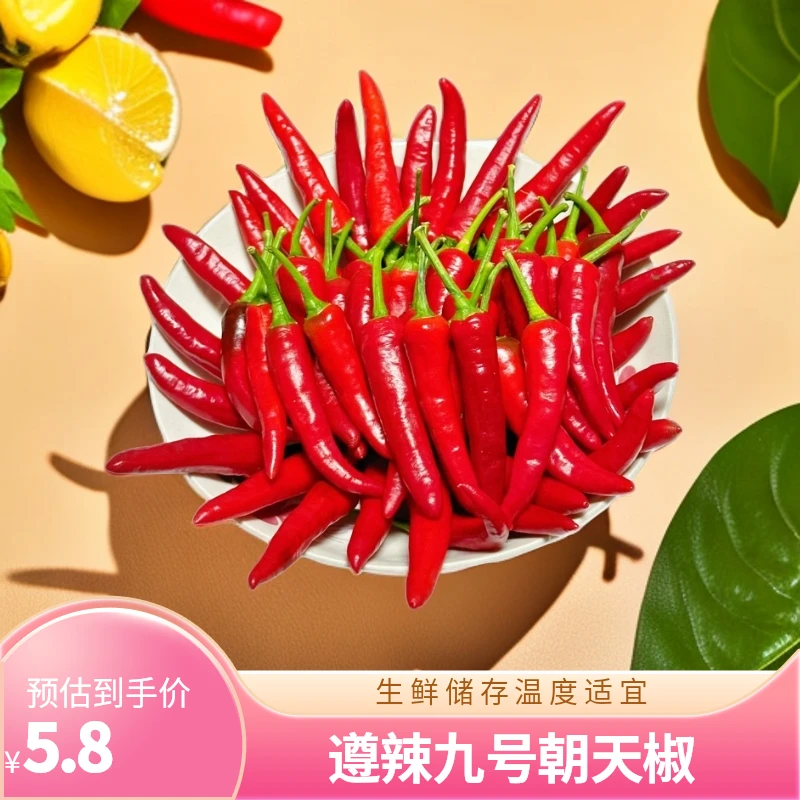贵州硒都开阳老岩寨遵辣九号 朝天椒 辣味十足 糟辣椒