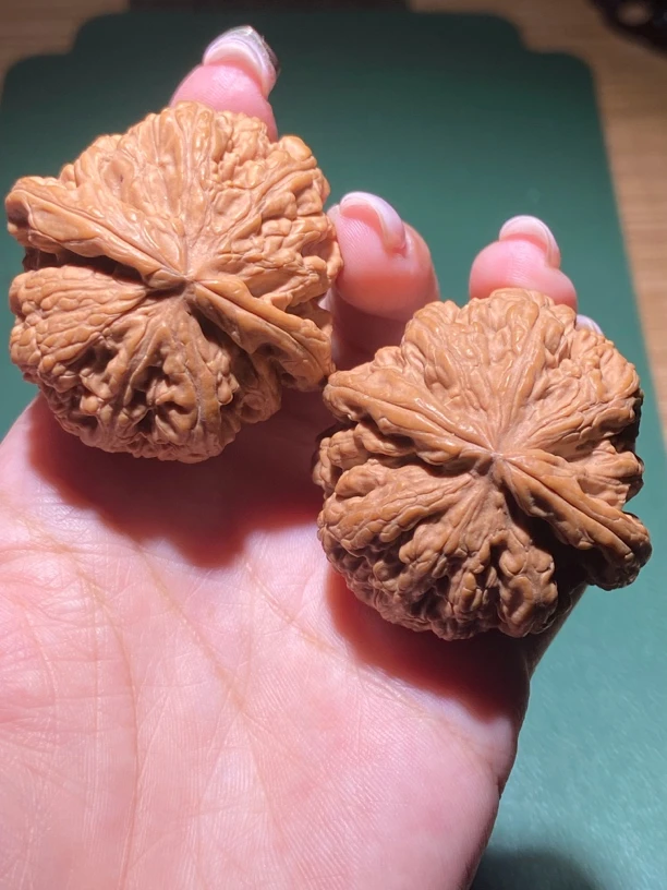 文玩核桃大粗筋 42边42肚35高