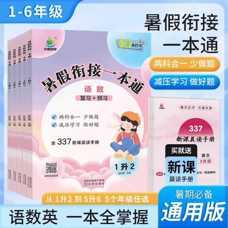 2024小学暑假衔接语数英一本通复习预习知识衔接假期打卡F