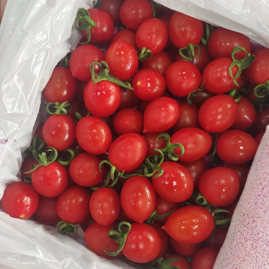 【婷姐选品 顺丰 冰箱保鲜】釜山88小番茄净重4斤 两盒装 酸甜