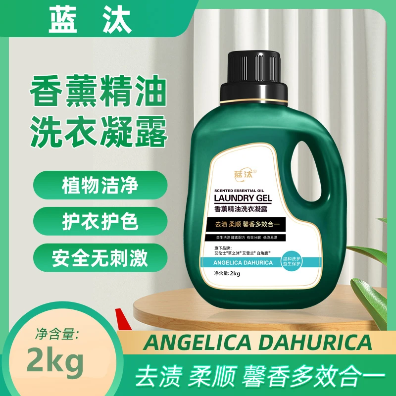（一瓶四斤装）蓝汰精油温和家用香薰洗衣液香味持久留香深层洁净