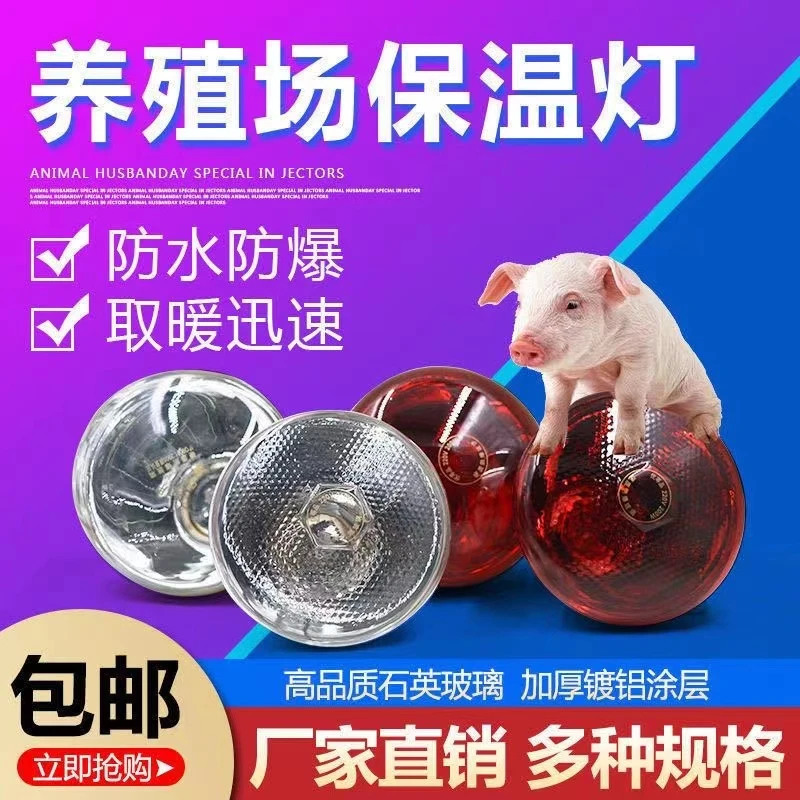 猪用保温灯保温灯防水防爆养殖取暖灯小鸡烤灯保温灯泡仔猪取暖灯