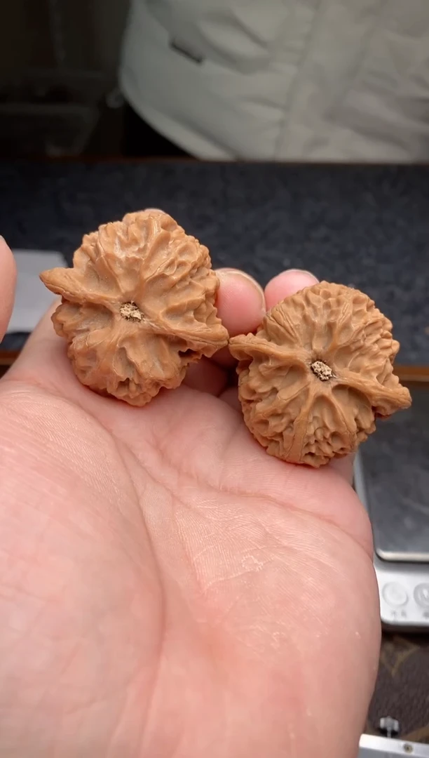 【闪购商品】桃核把件b64号42尺苹果