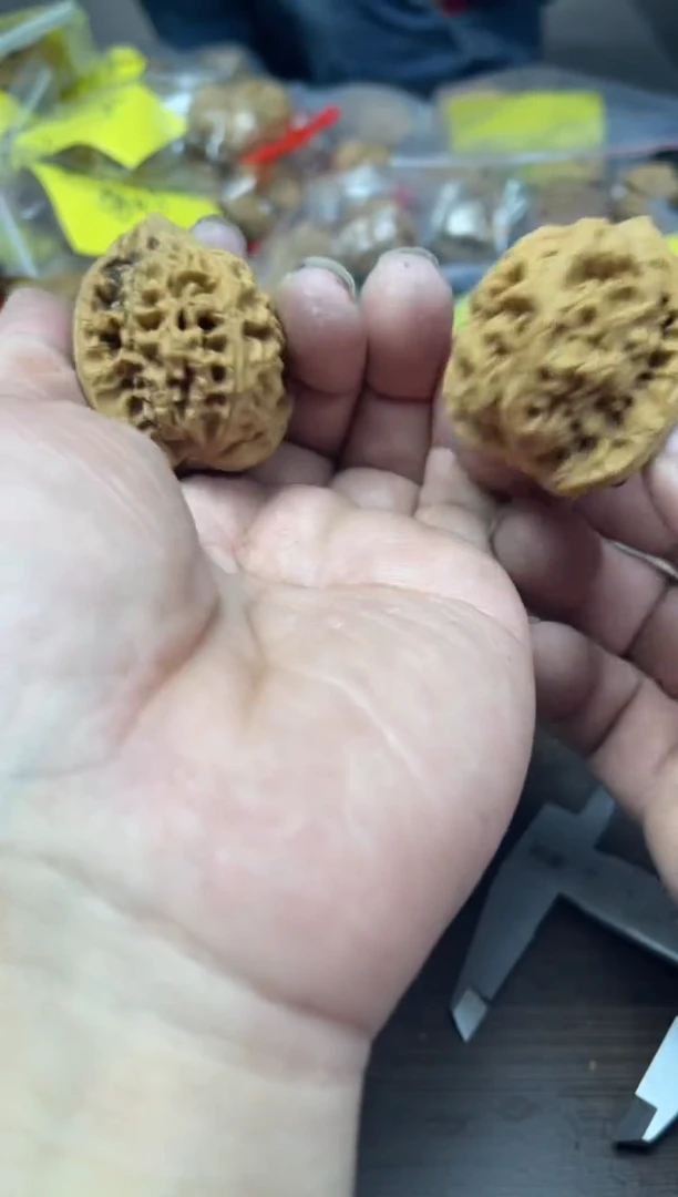 【闪购商品】文玩核桃吊坠天残脚水龙纹39尺寸47号
