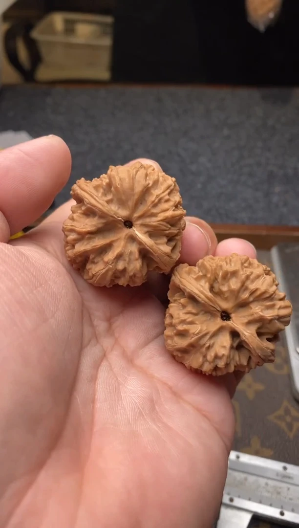 【闪购商品】桃核把件b190号38尺野牛