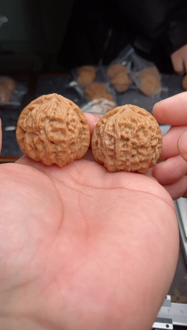【闪购商品】桃核把件b121号41尺白狮子